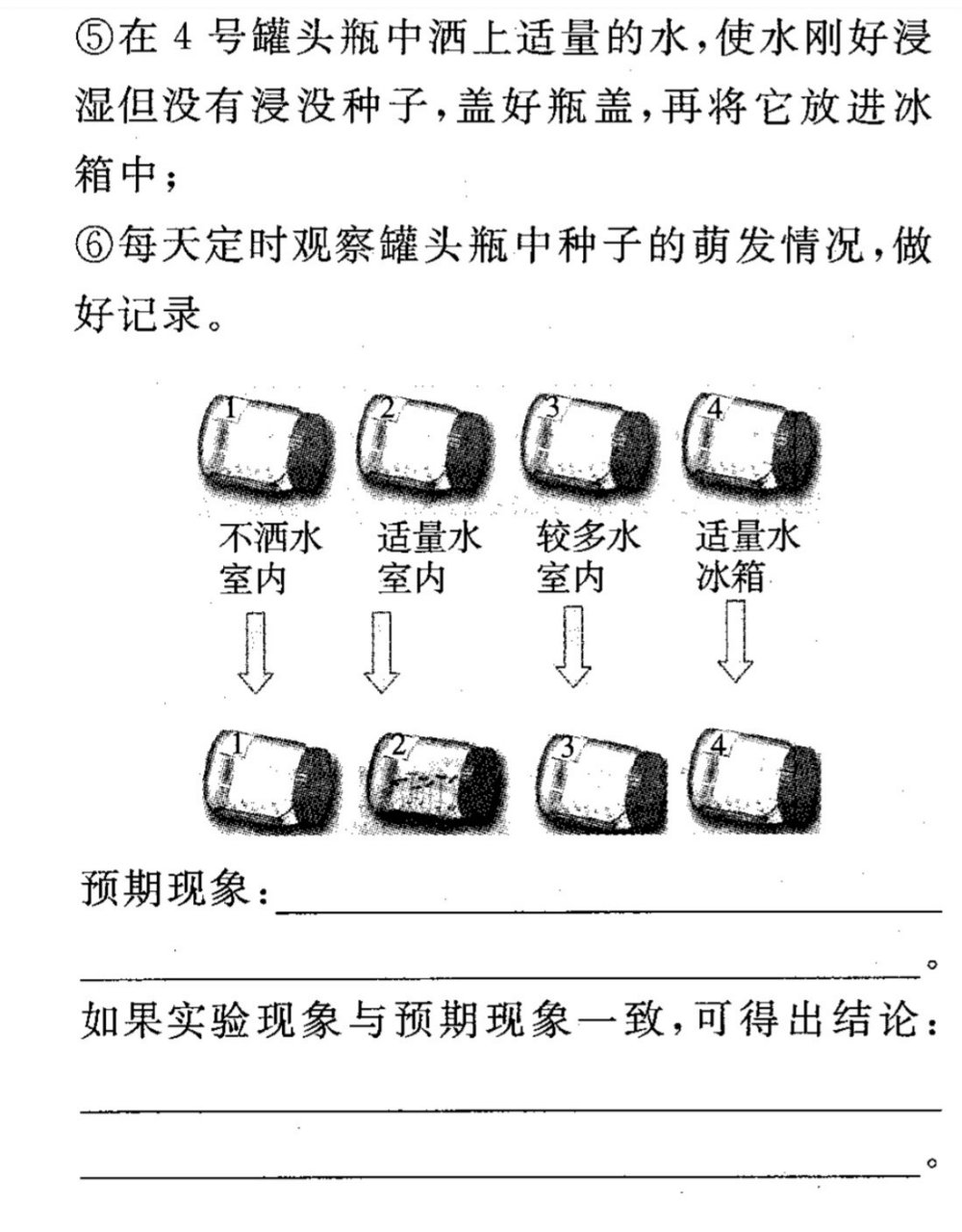 种子萌发的自身条件图片