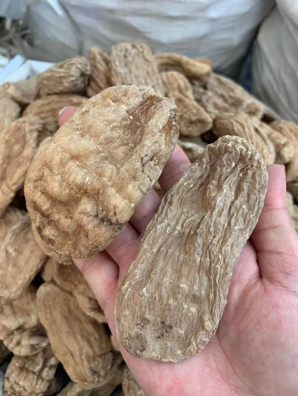 纯丽江无硫磺红天麻,对头疼有很好帮助,补脑,健脑,治疗头风,头痛,偏