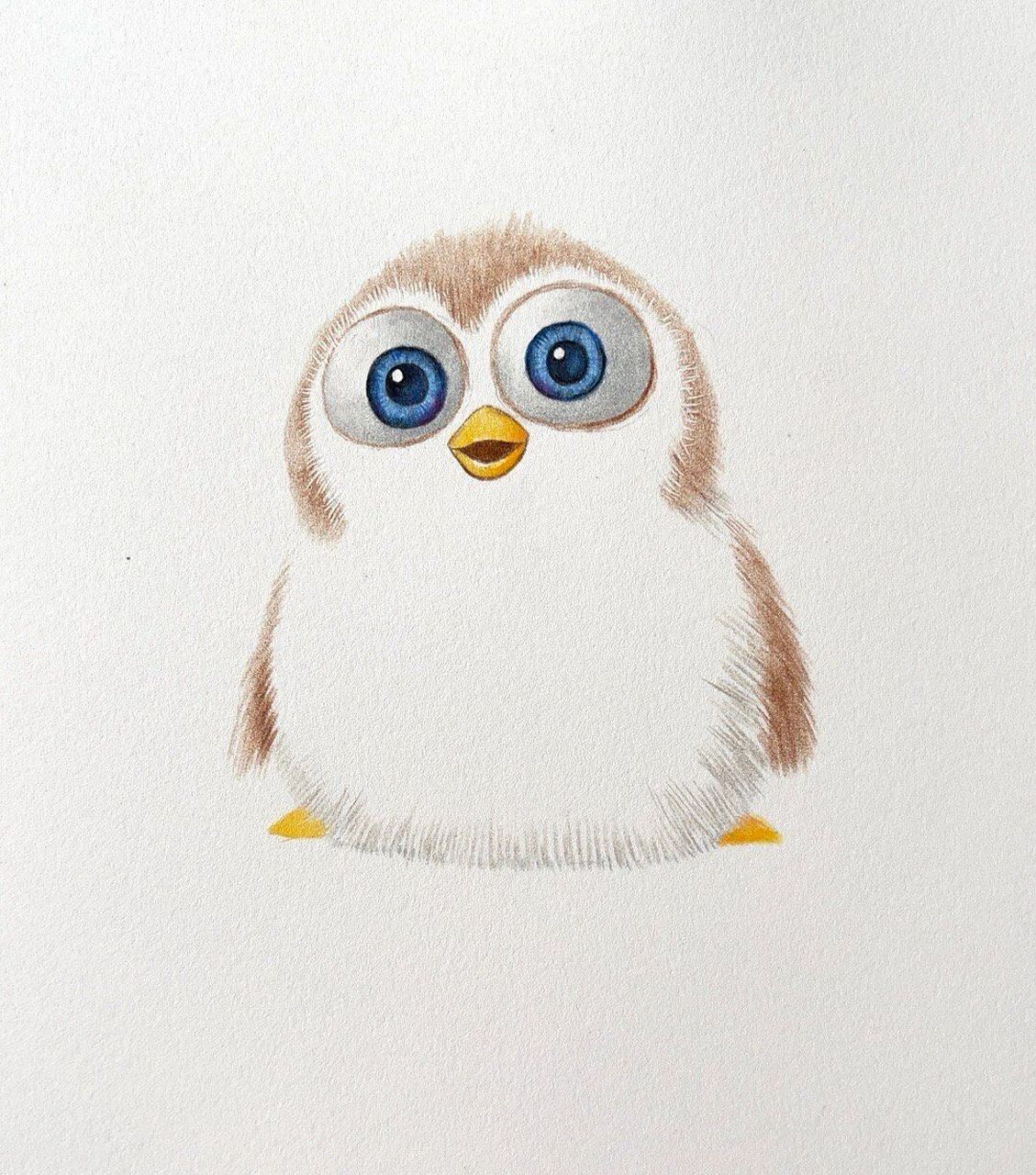 马可彩铅笔下的小企鹅 最近入手马可雷诺阿彩铅,笔的包装非常有质感