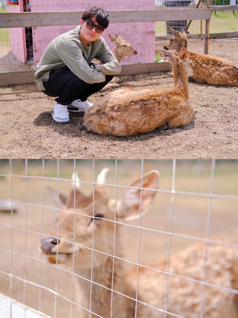 花一天时间,去长兴岛看看吧99 最近的天气都很好,不冷不热的温度很