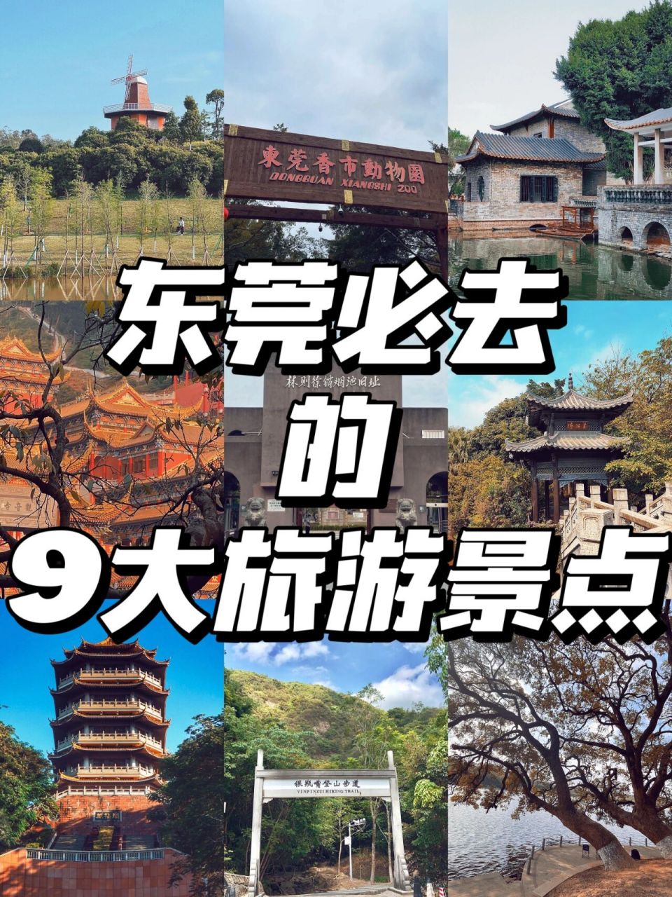 东莞旅游合集丨必玩景点,快乐之旅99  166东莞植物园 99门票