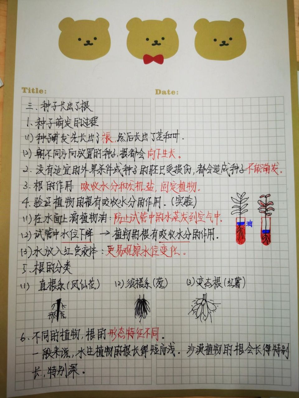 四下科教版科学笔记 《种子长出了根》《茎和叶》