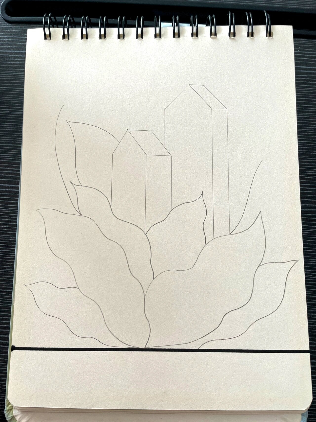 黑白线描画 植物房子 临摹 简单易画