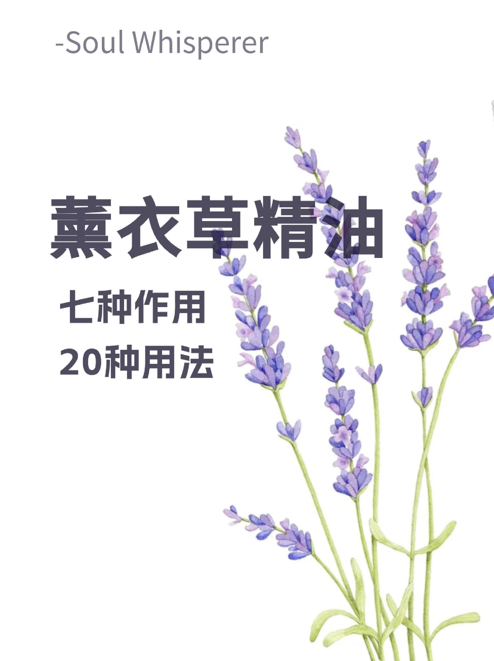 薰衣草精油|七种作用20种用法