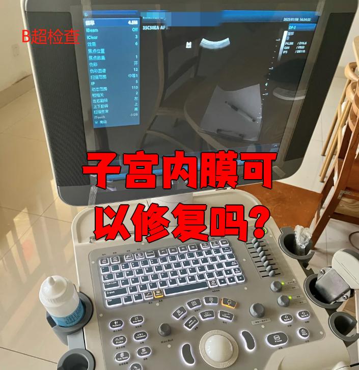 子宫内膜可以修复吗?