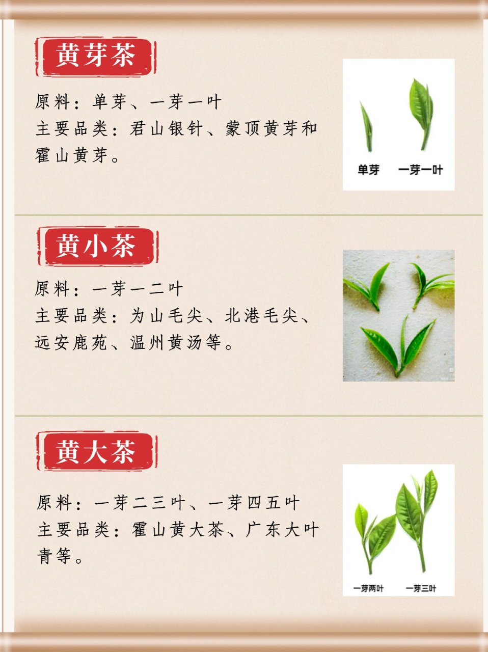 黄茶品种介绍 黄茶类属部分发酵茶 (发酵度: 10%).