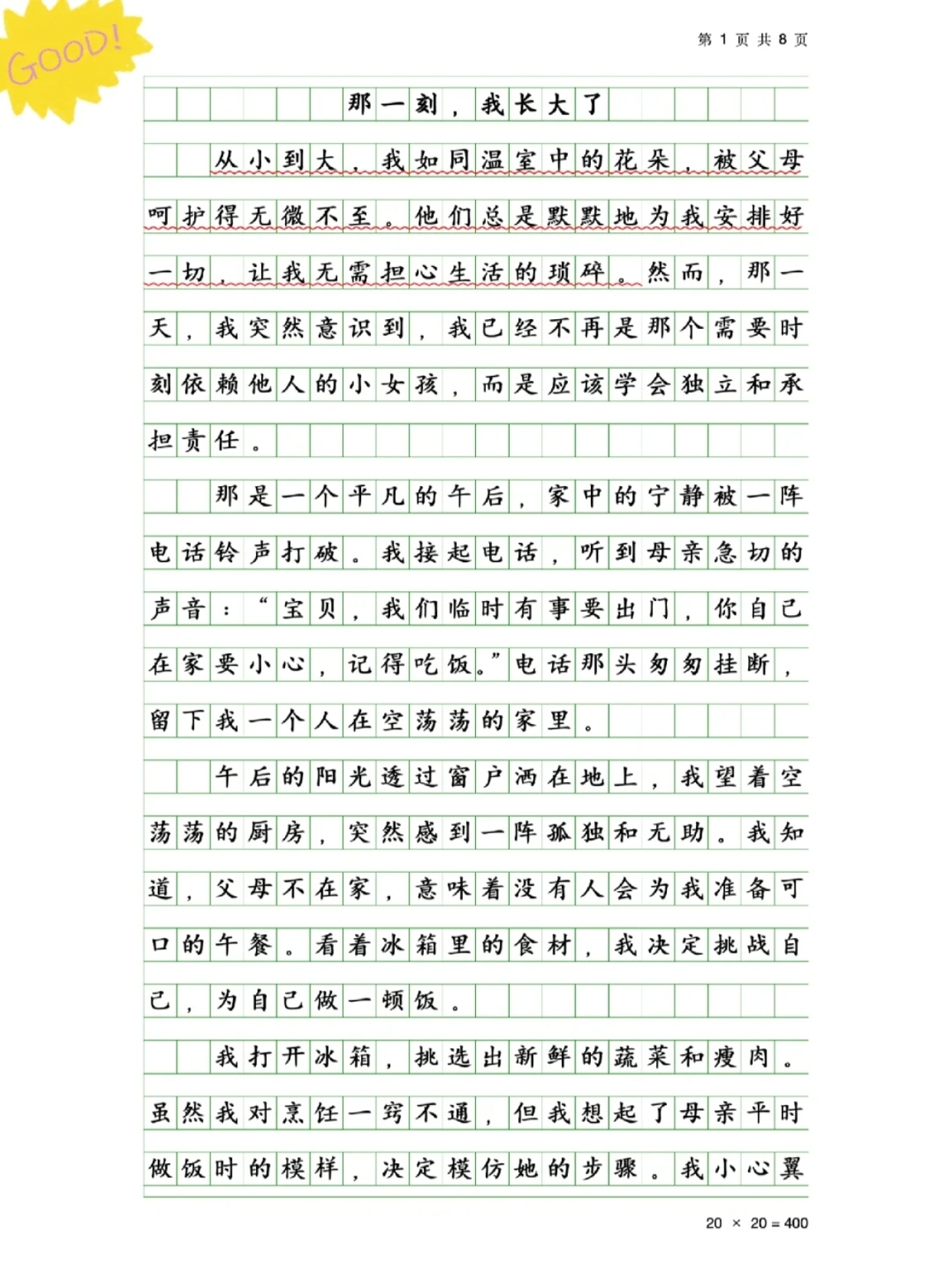 那一刻我长大了优秀作文