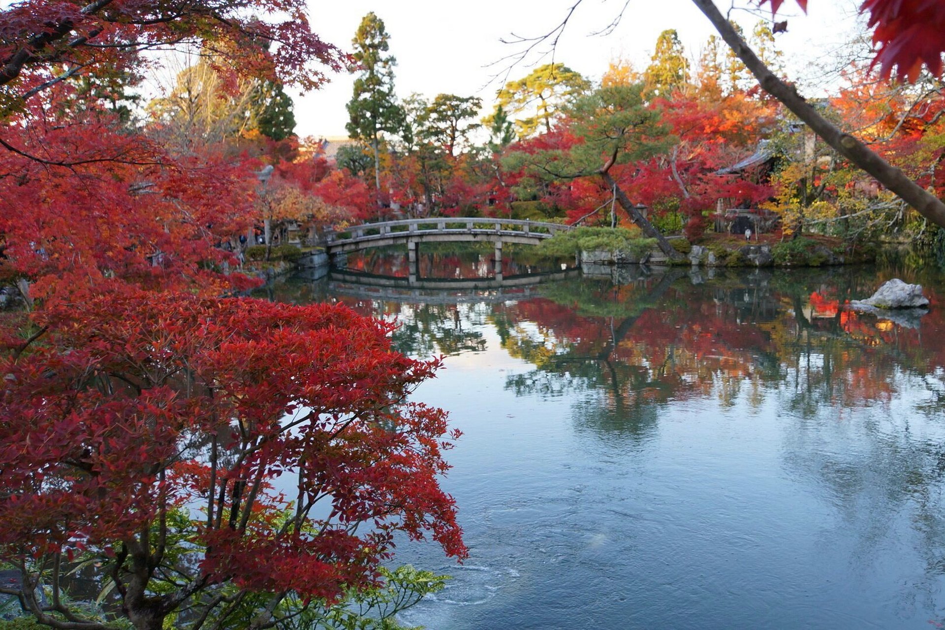 京都|最全赏枫叶宝藏路线 收藏版 11566清水寺周边(11月下旬)