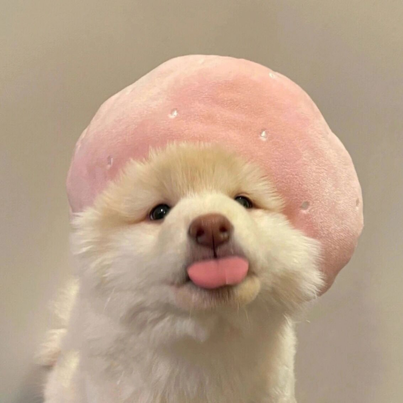 可爱又沙雕的情头合集(1) 10.