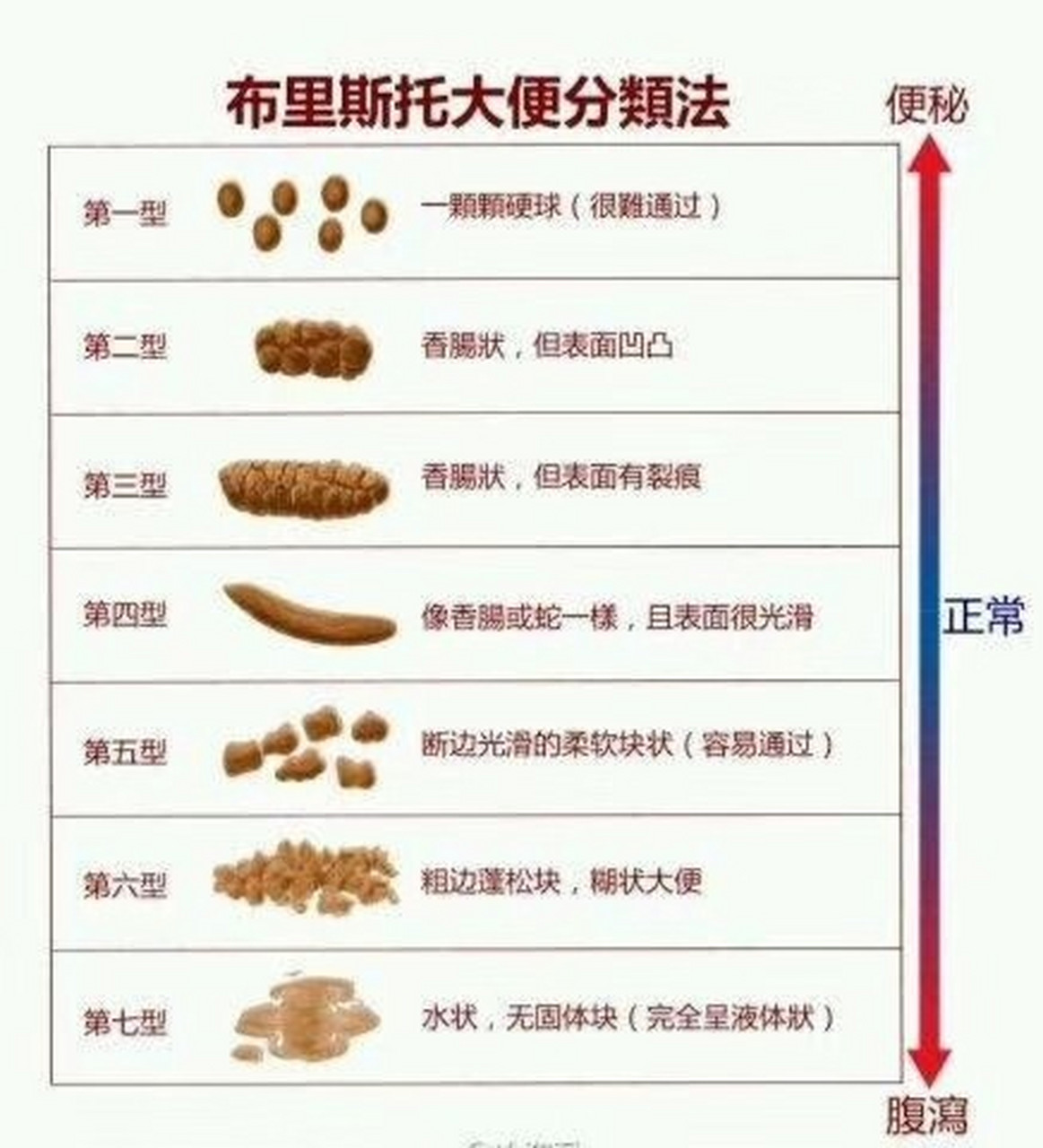 便秘大便程度图图片