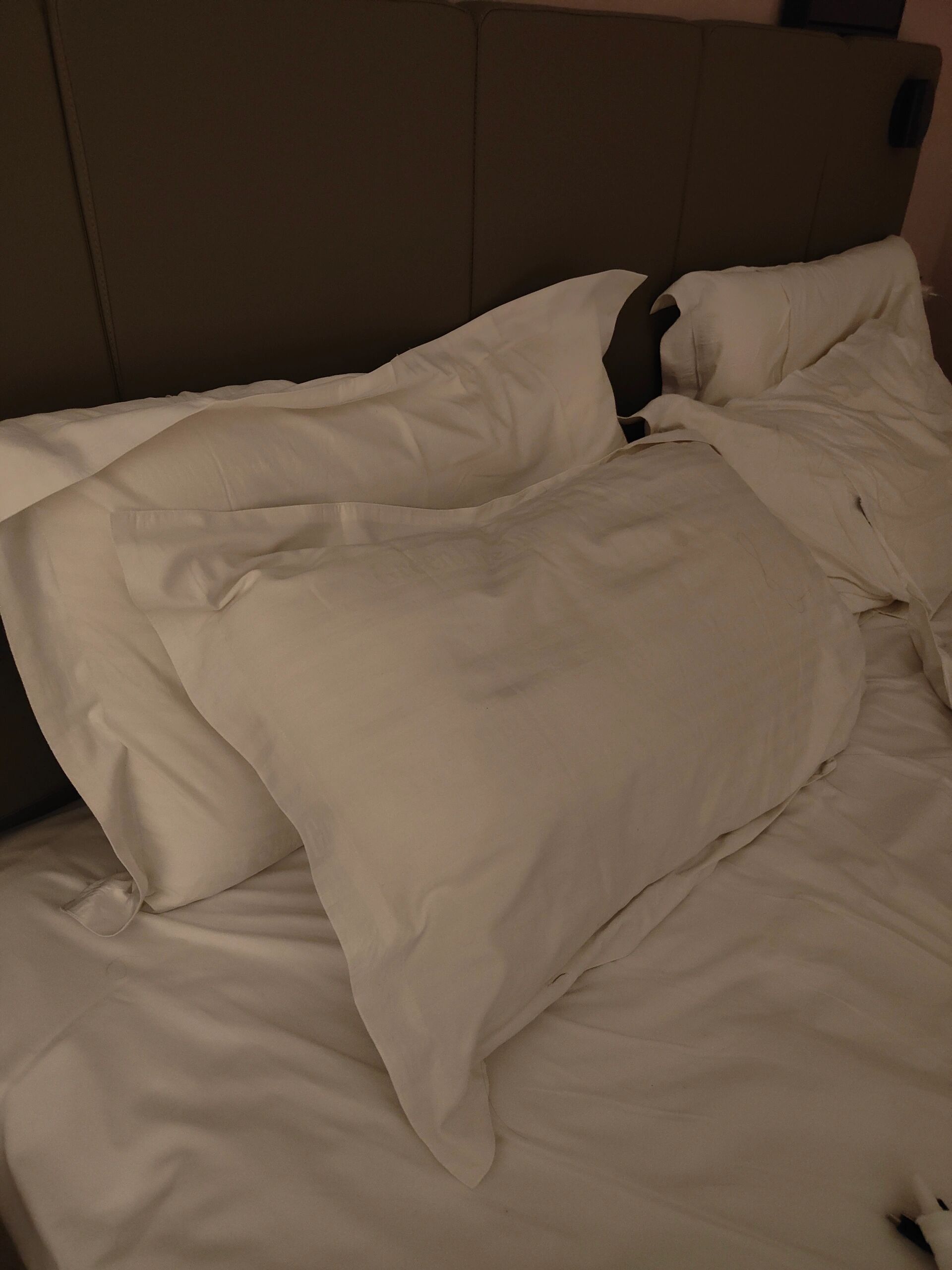 哪里能买到酒店的这种枕头啊