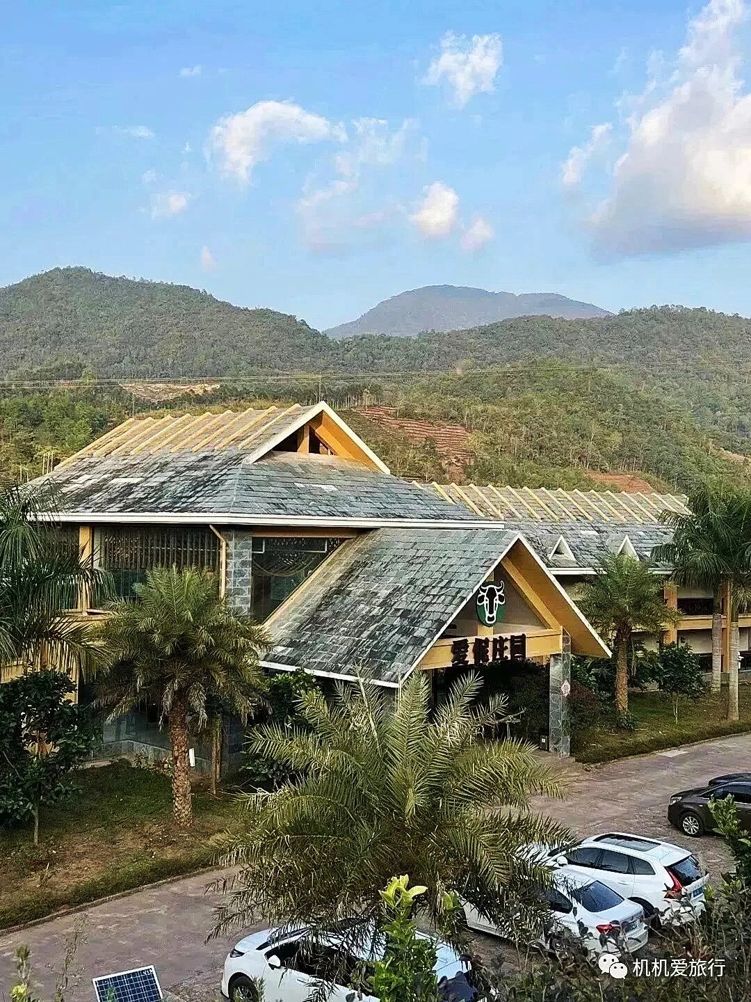 普洱小众酒店|爱伲庄园93|住进咖啡庄园 93朋友去年去的爱伲庄园
