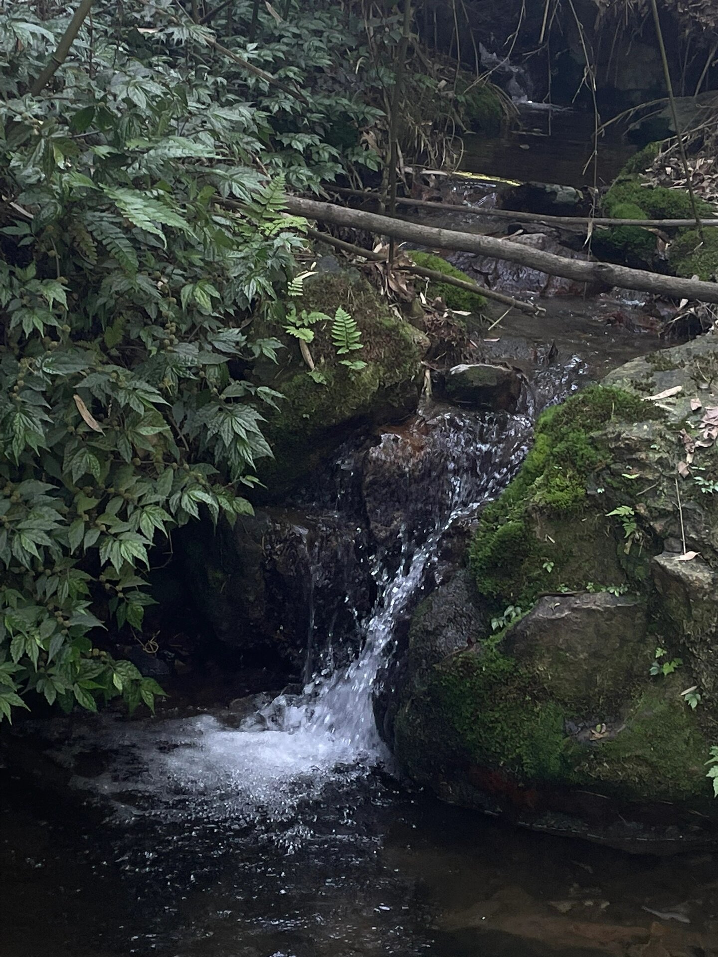 徒步小记7215绍兴秦望山大环线 新手9215