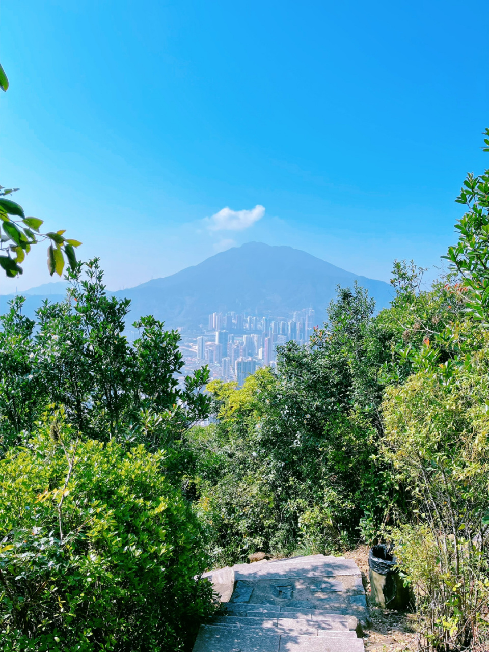 深圳最高图书馆,深圳云海广场图书馆,位于盐田区梅沙山半山腰上,终于