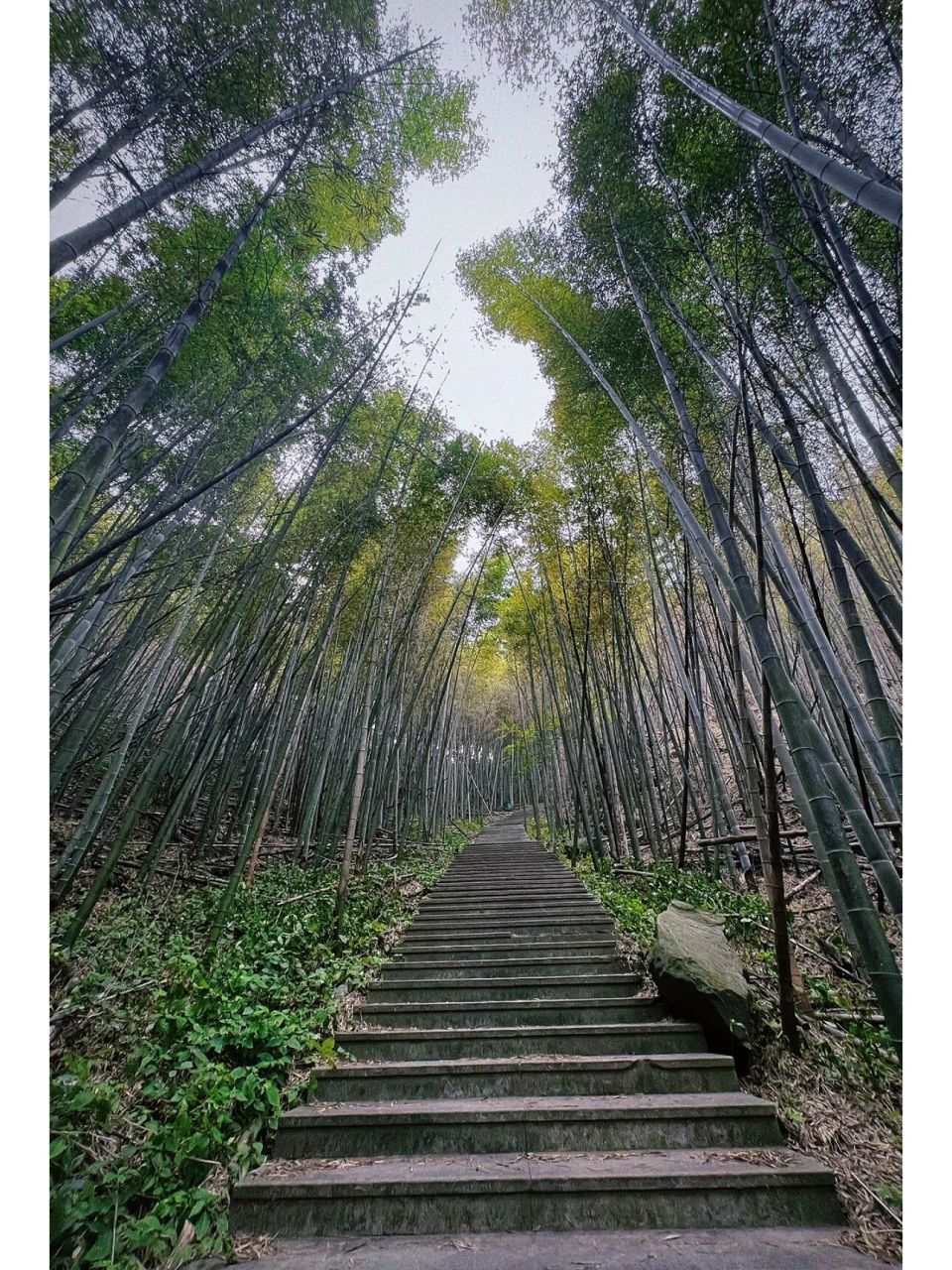 长沙乌山风景区图片