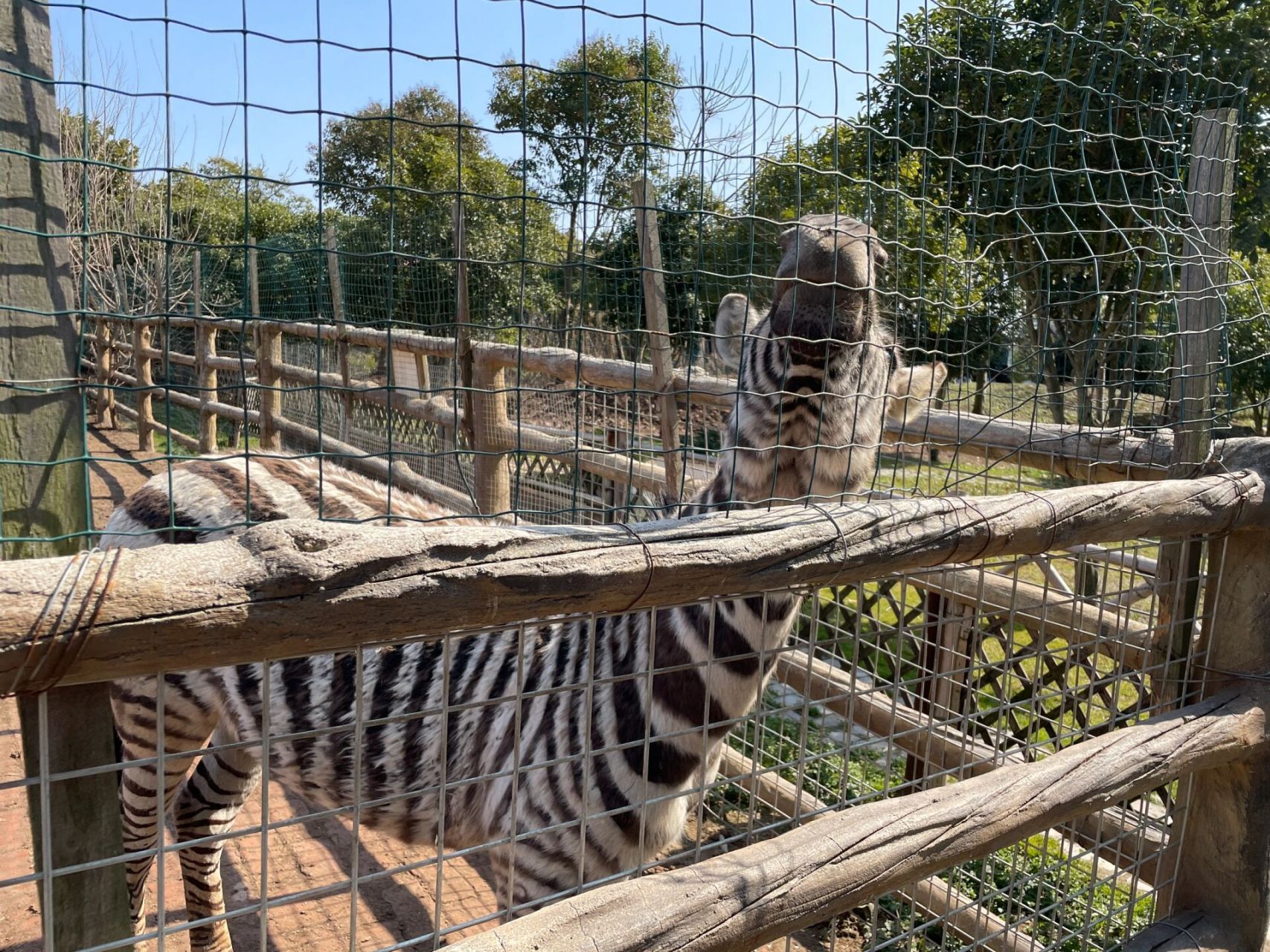 扬州周边亲子游之镇江开心休博园 游乐场 到了周末或者假期,就想着