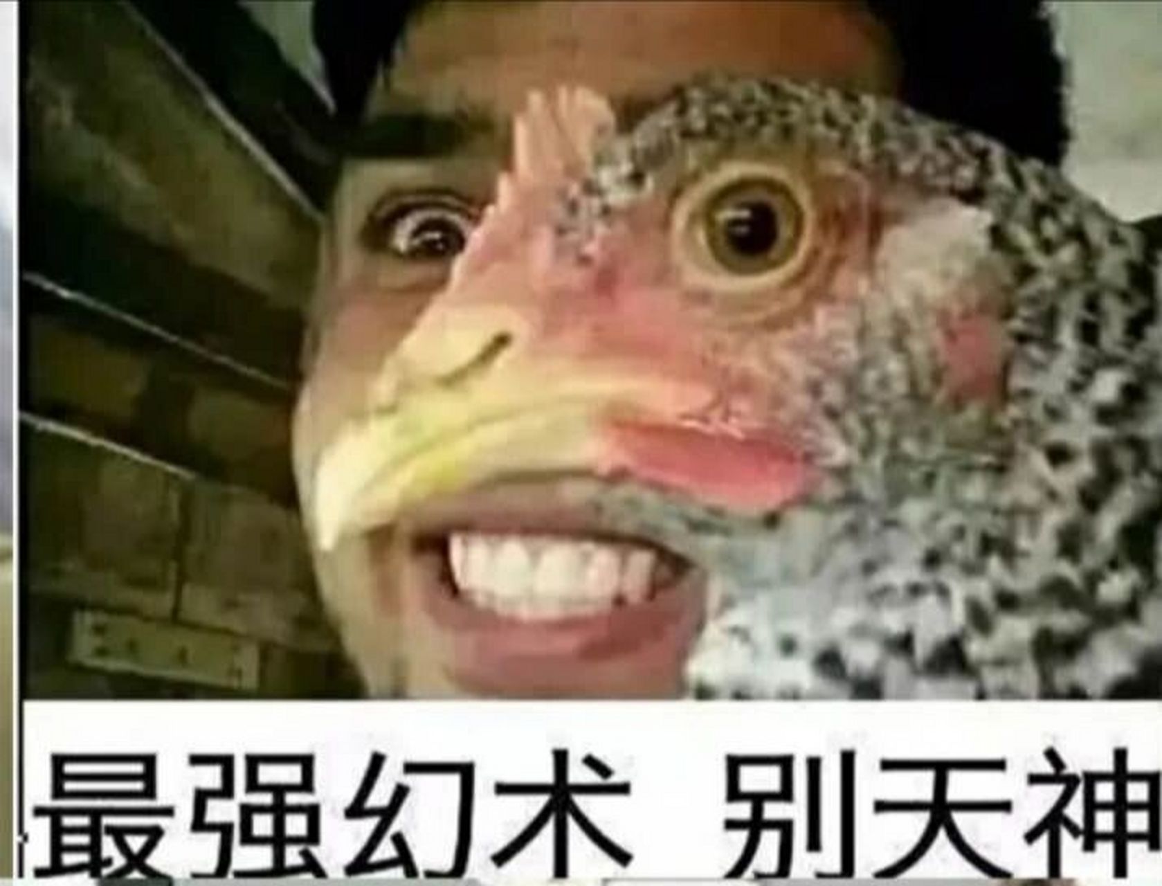 火影斗图表情包(六)   马萨卡,什么时候中的幻术!