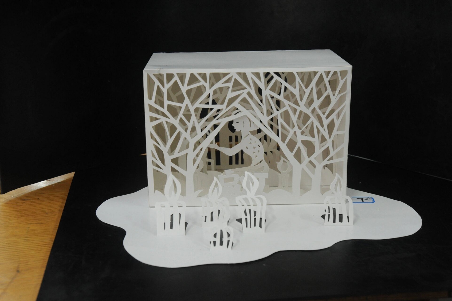 美术教师基本功比赛立体造型纸作品 省级立体纸造型作品