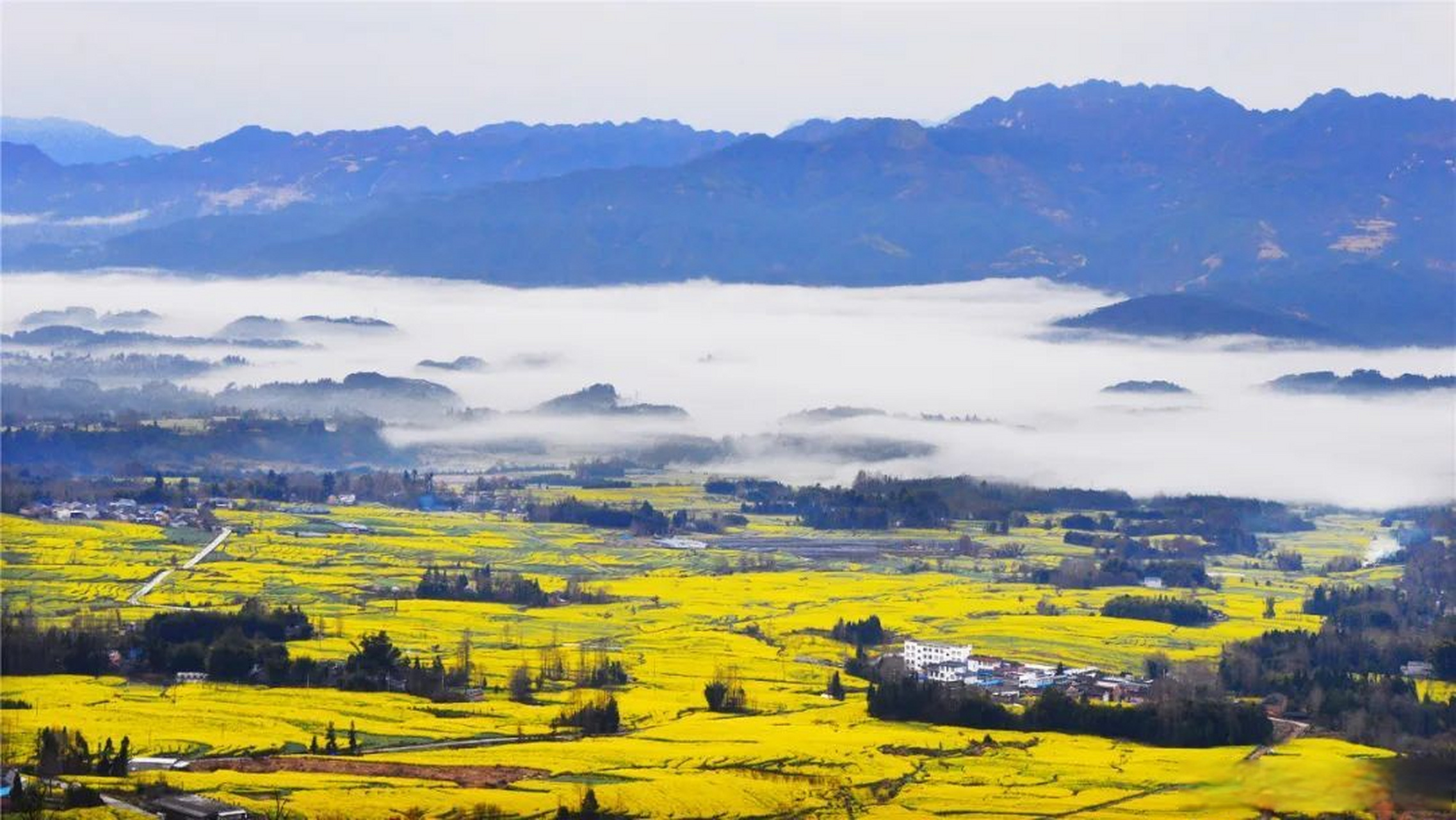 总要去趟腾冲吧# 【高黎贡山片区:探寻世界物种基因库】高黎贡山被称