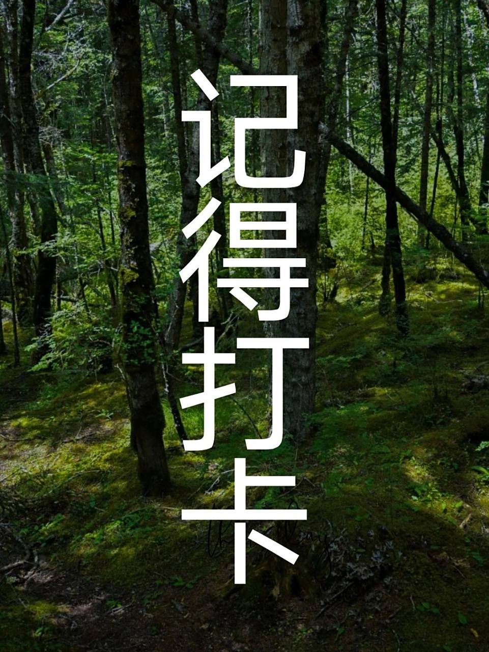 打卡提醒壁纸 因为总是忘记打卡 所以做几张壁纸提醒自己 不要在忘记