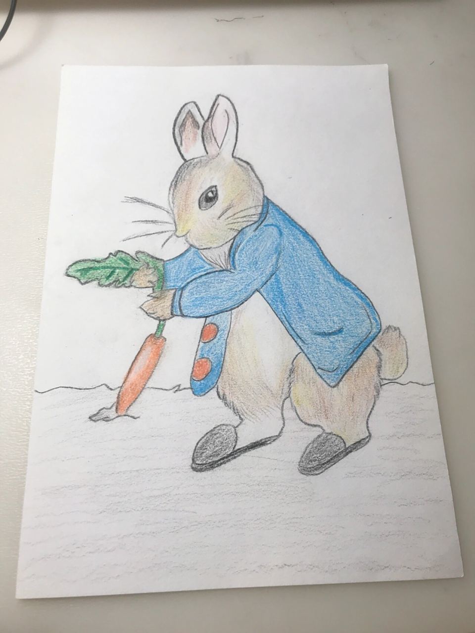 彼得兔(简笔画)