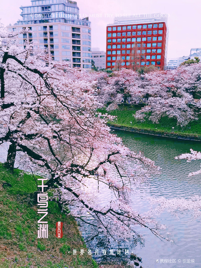 收集世界名片|日本·漫画般的旅行地·千鸟之渊|打卡东京北之丸公园