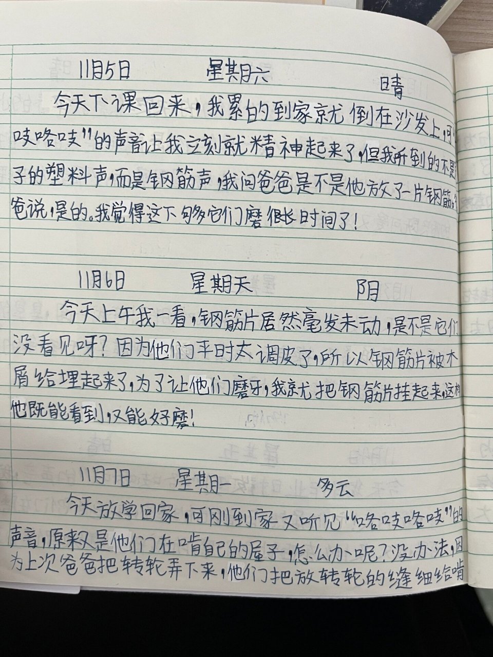 观察仓鼠的作文(观察仓鼠的作文300字三年级)