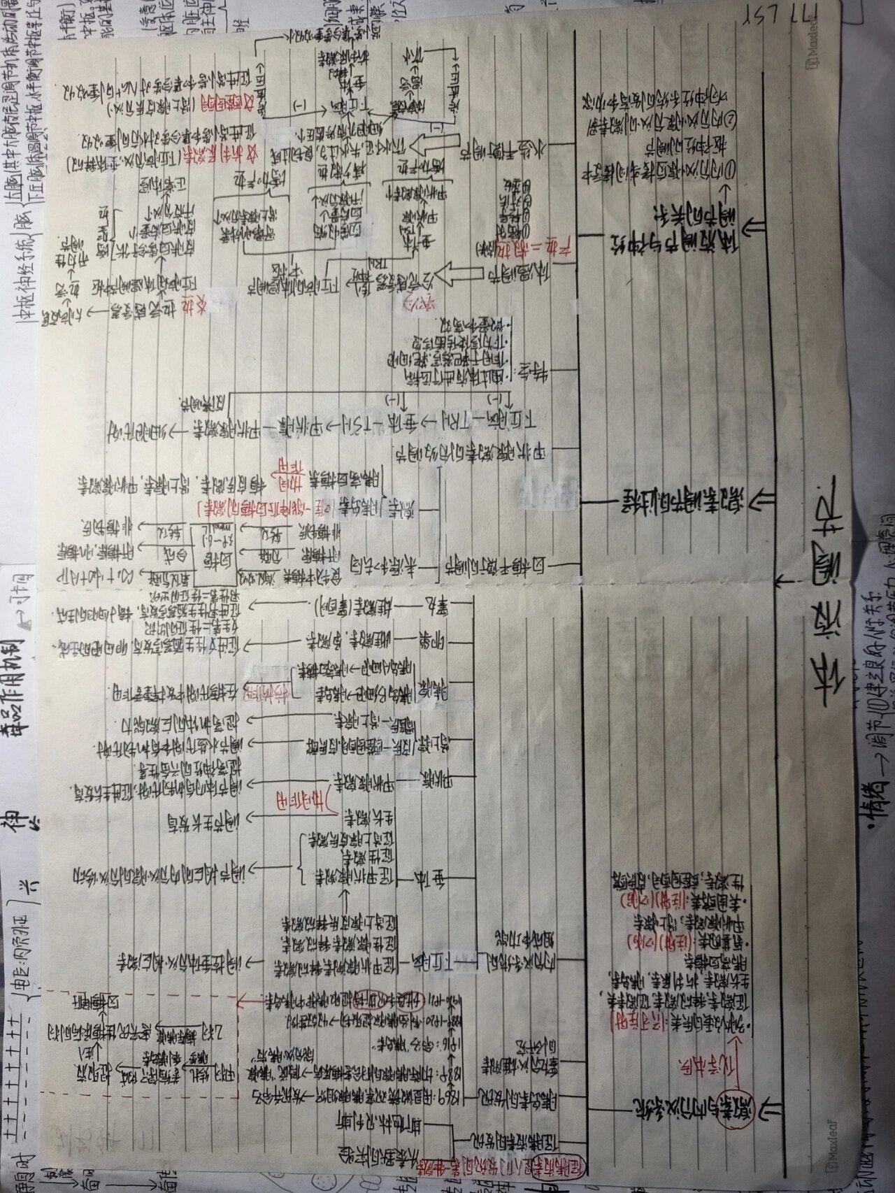 选修一第三单元生物思维导图 体液调节 0404