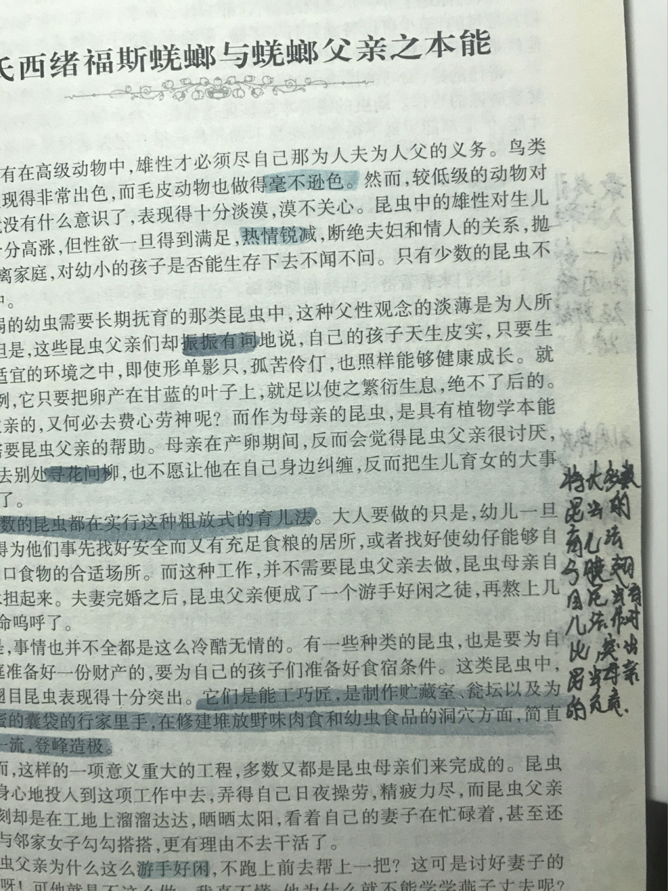 《昆虫记》舒氏西绪福斯蜣螂与蜣螂父亲之本 能 前面还有松毛虫的哦