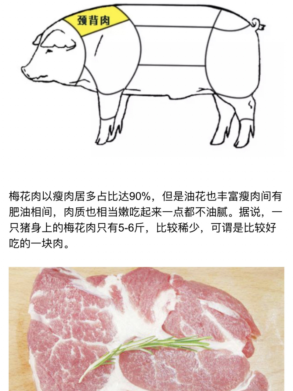 猪肉眉毛肉图片图片