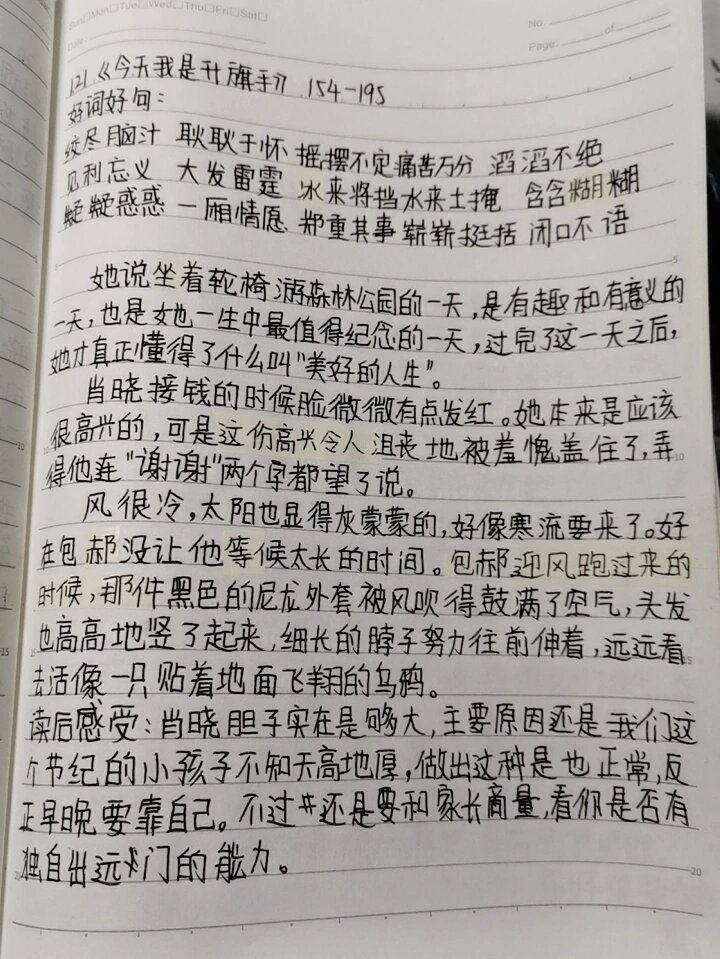 《今天我是升旗手》