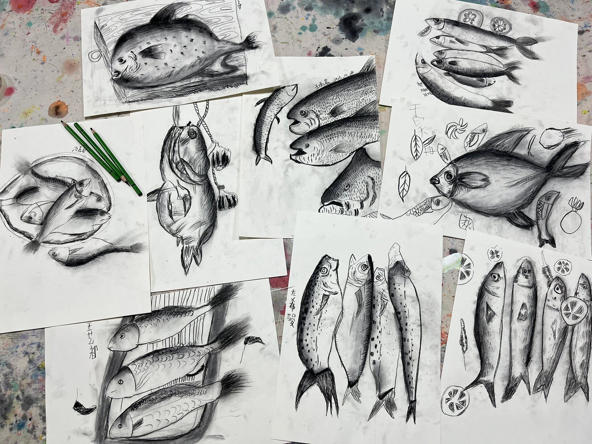 素描《鱼》9—12岁