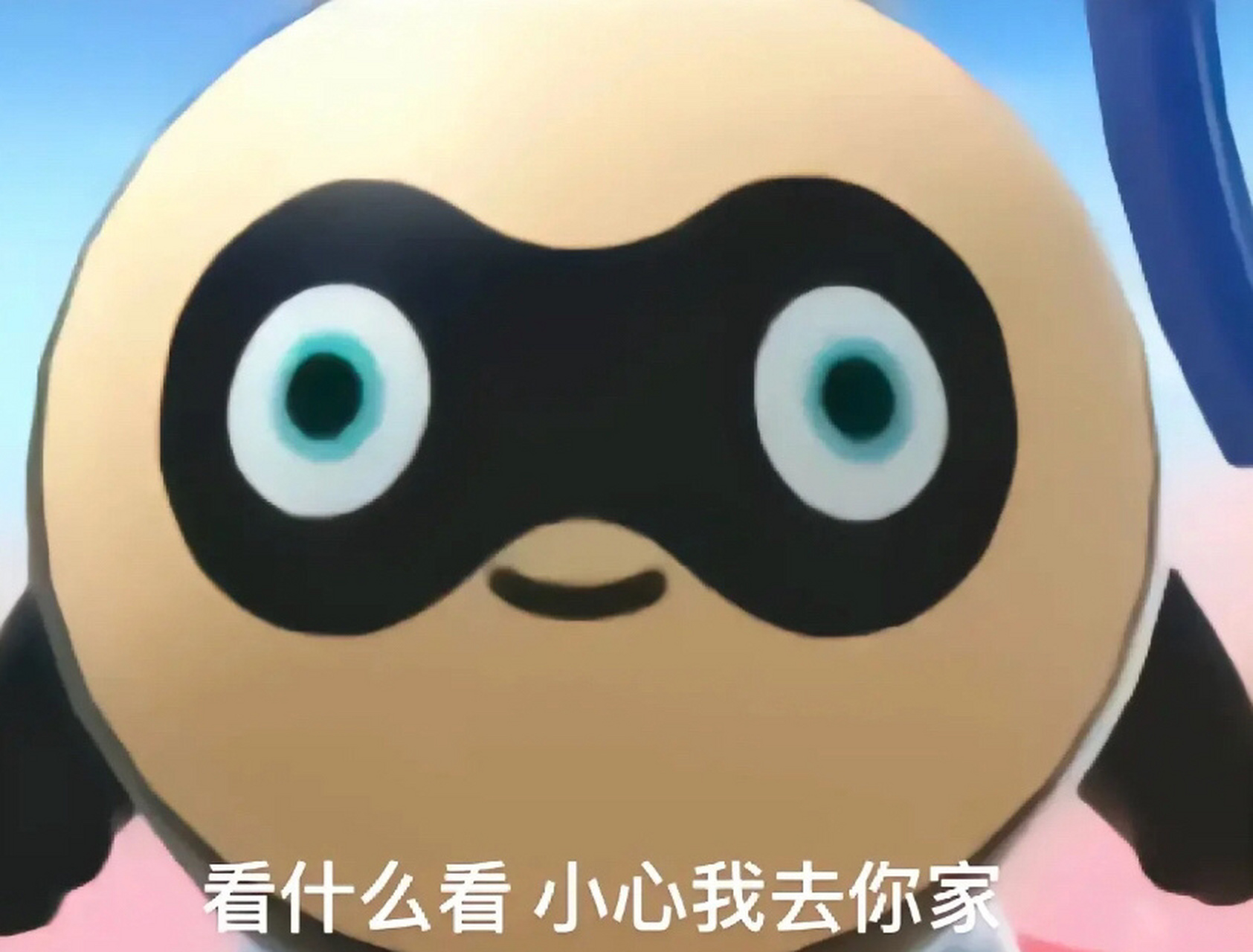 蛋贩子表情包 为大家整理的我觉得很搞笑的蛋贩子表情包 自截