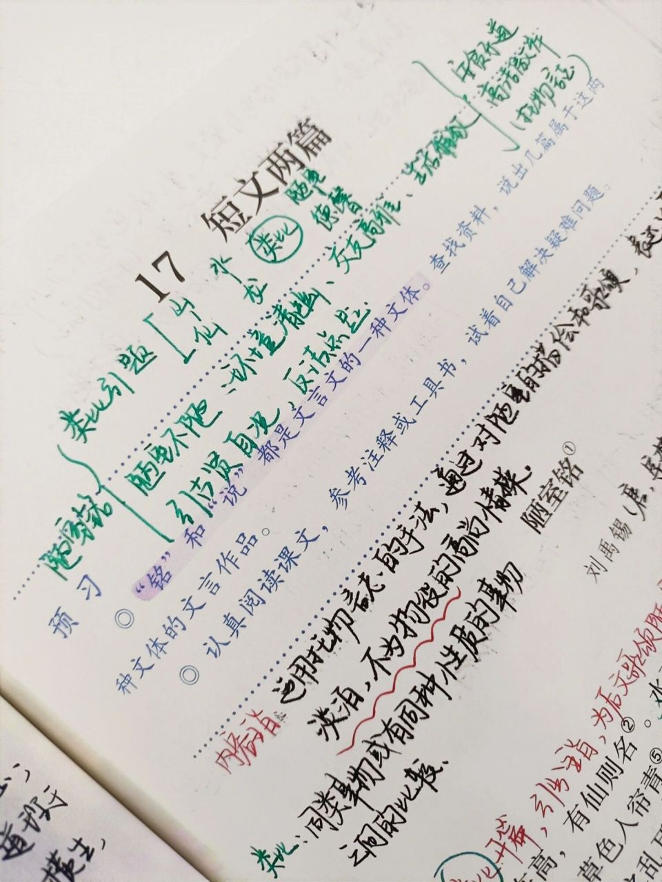七下语文笔记Ⅰ陋室铭&爱莲说 课堂笔记 原文翻译 知识点梳理