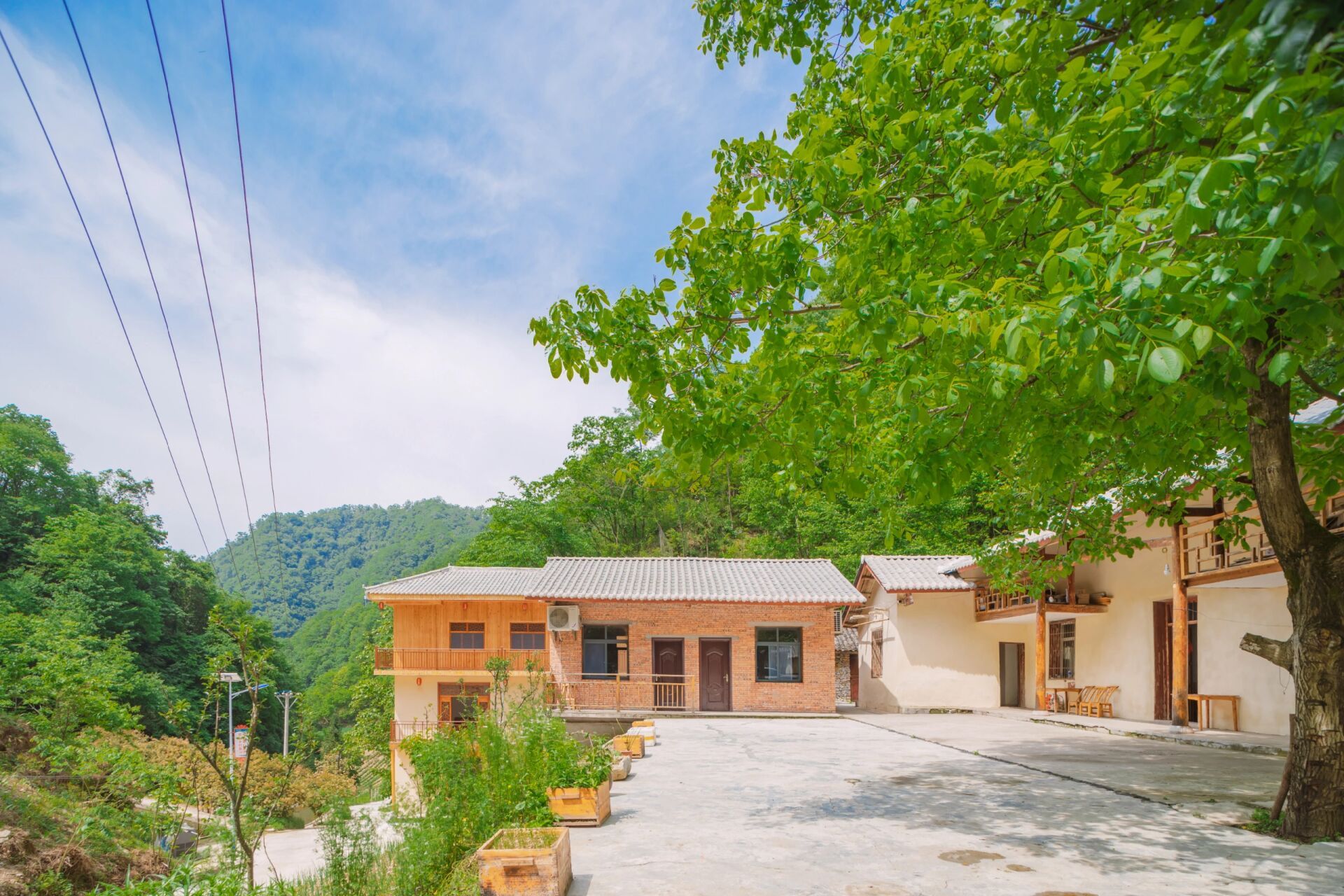 神农架避暑 我家的民宿位于神农架阳日镇长青村,紧邻药王谷,处于阳日