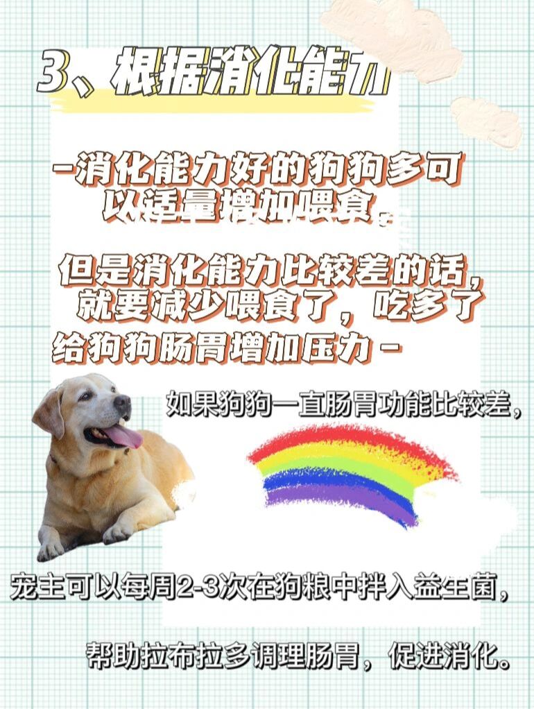 拉布拉多犬食量标准表图片