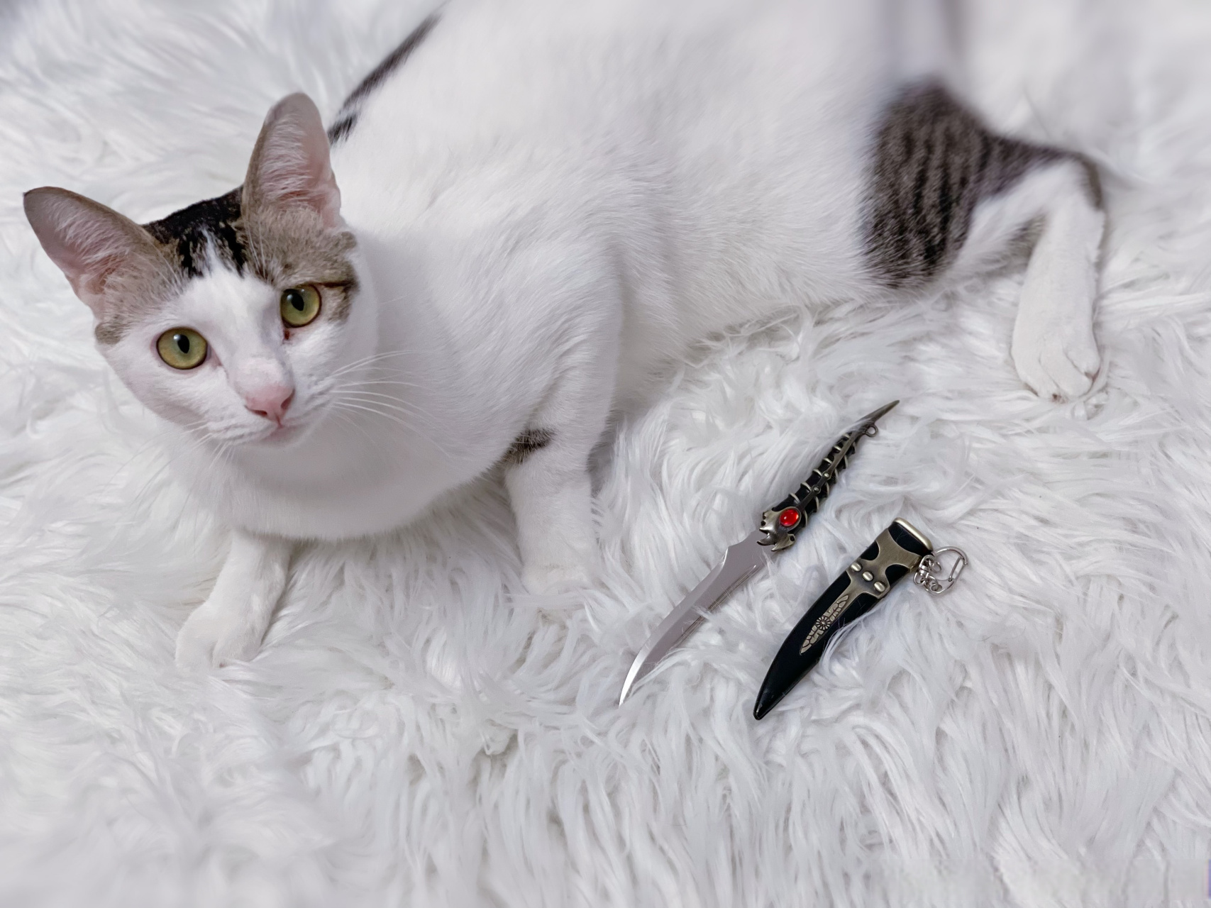 本期抽奖的这把瓦雷利亚钢匕首(valyrian steel dagger)原型在原著和