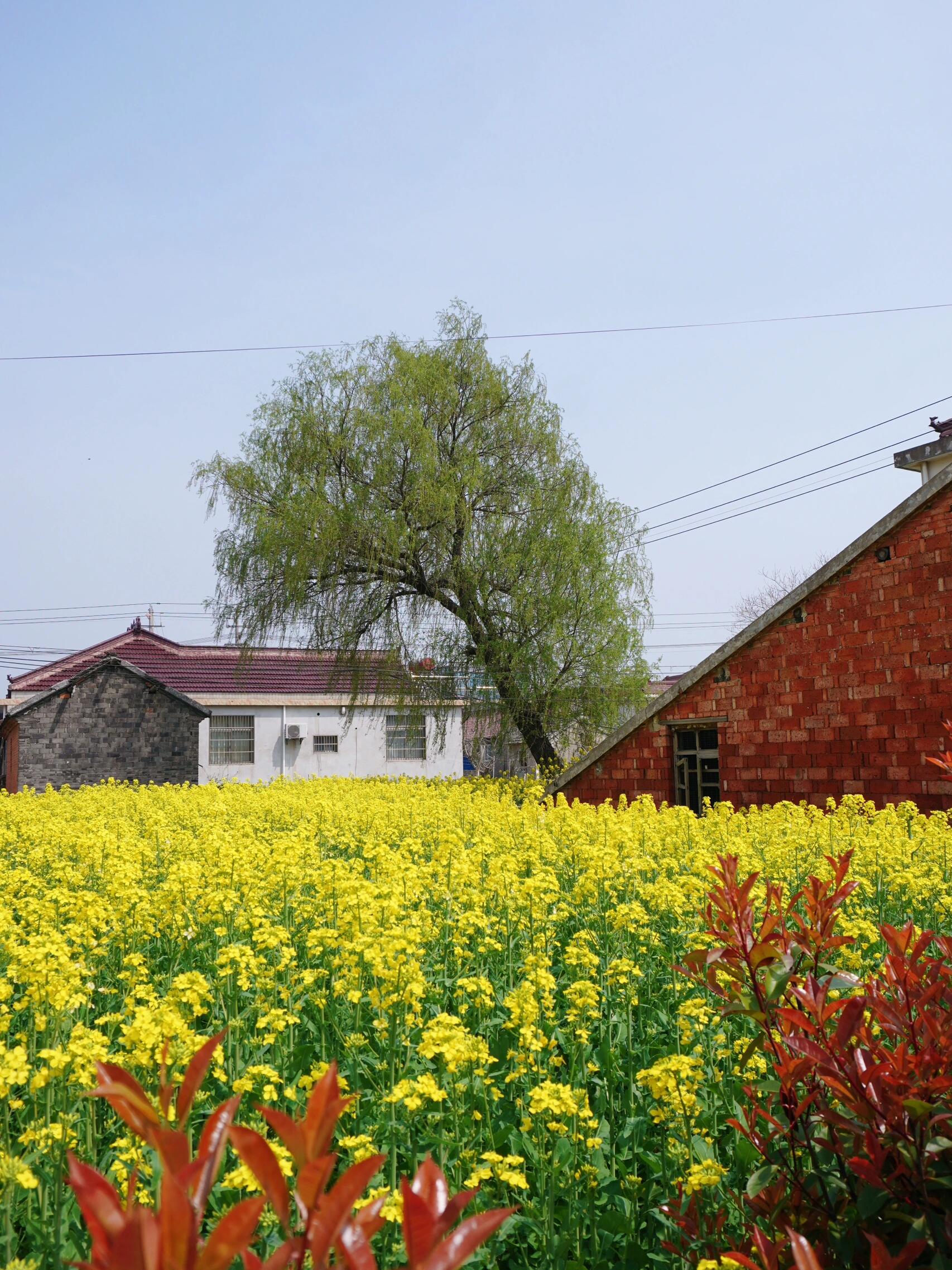 眼睛👀到底能不能做