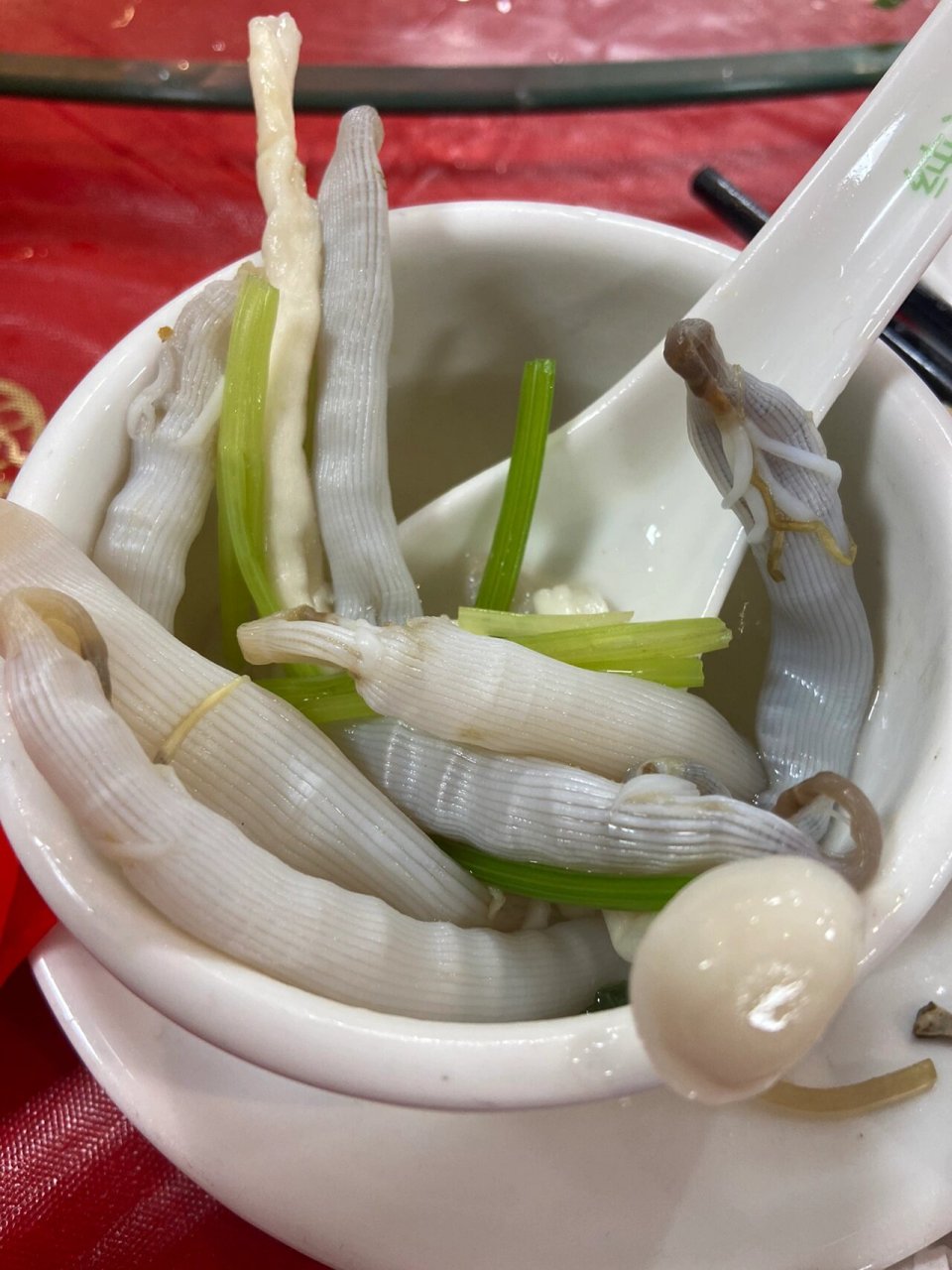 沙虫又称光裸星虫,也叫沙肠子,方格星虫等.