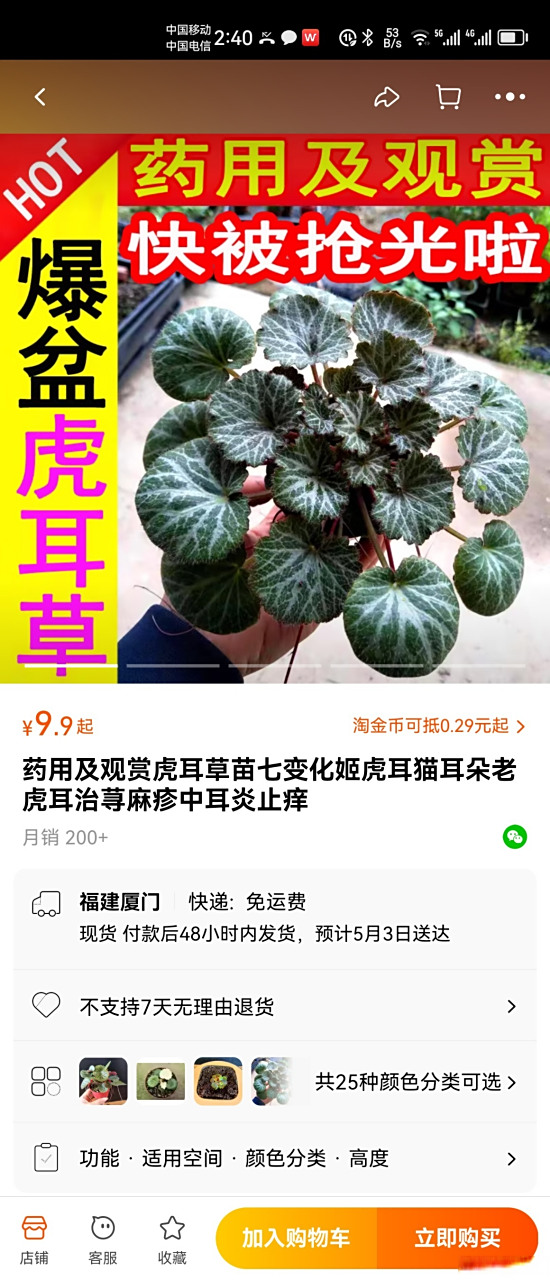 金丝荷叶#中药##中耳炎#  又叫虎耳草猫耳朵老虎耳  老爷子说可以治疗