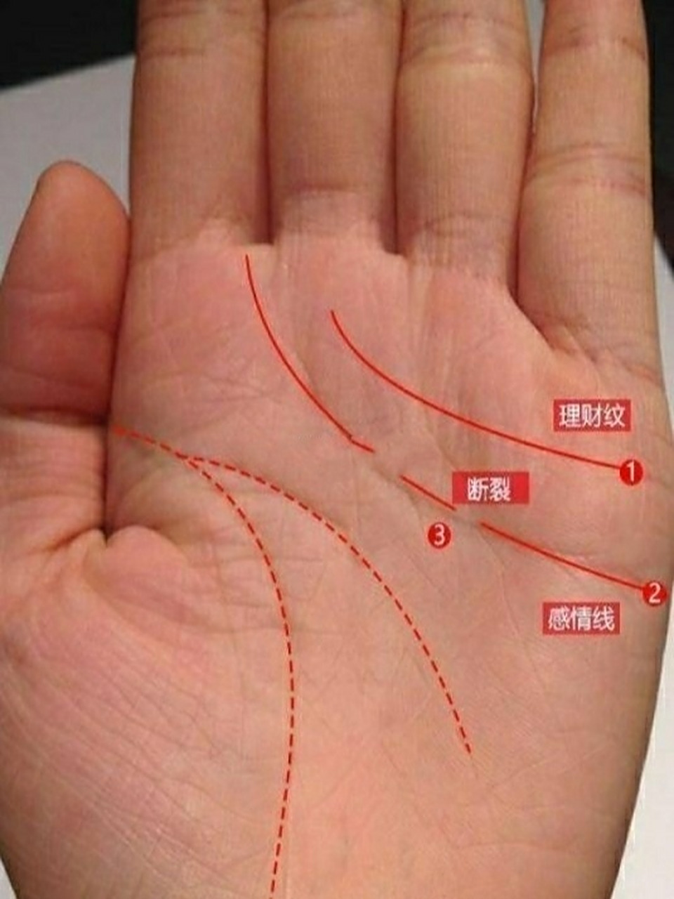 如果是感情线是小的断裂,或者中间又连上了,这就是预示本人和另一半