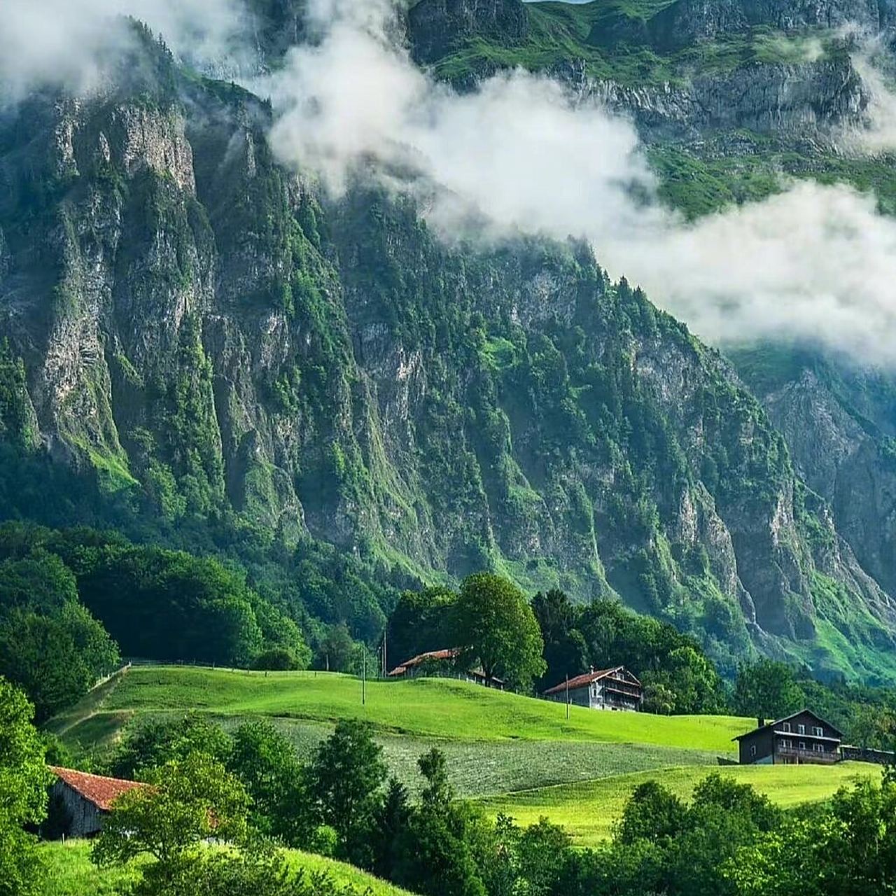 水木相生「男女头像背景图」