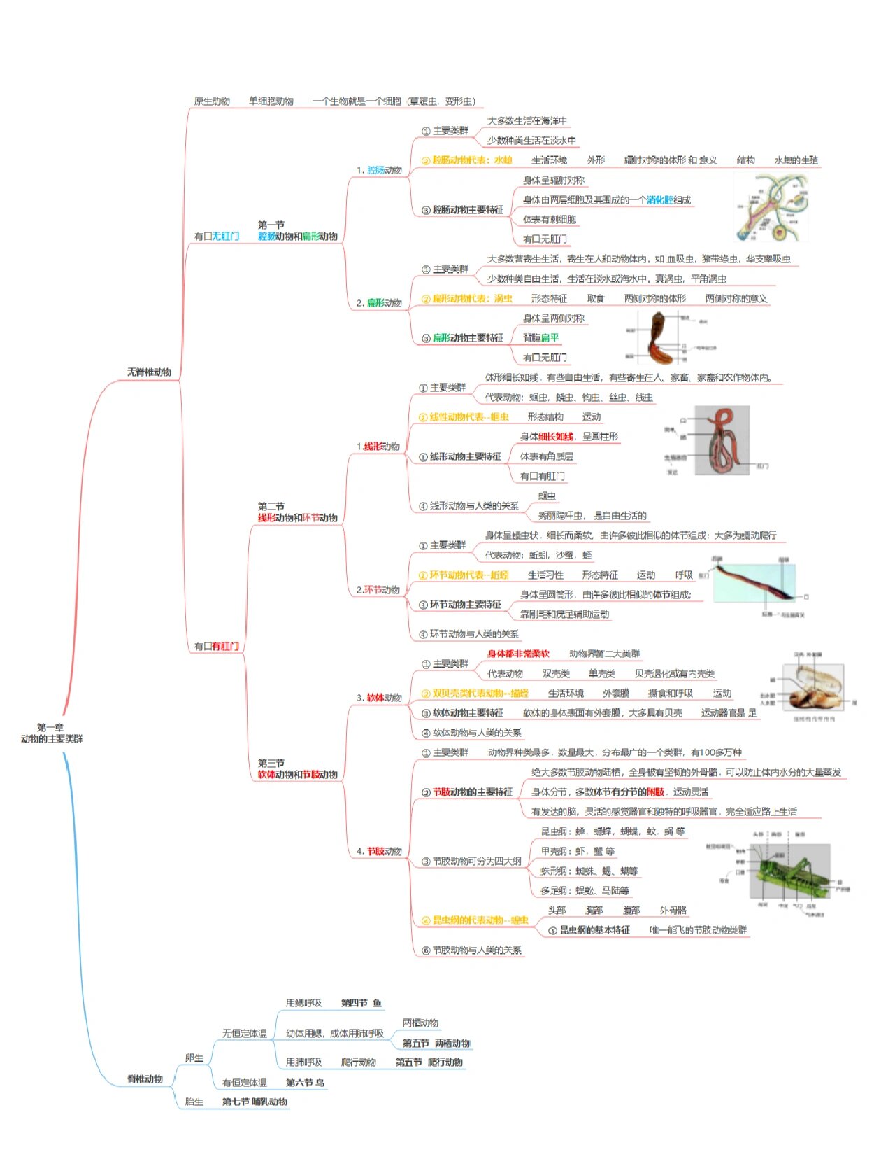 八上生物思维导图全部图片