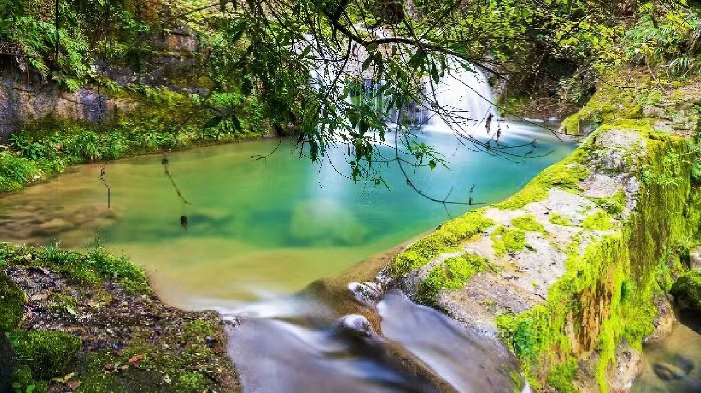 人私藏江油周边攻略 99地址:江油市枫顺乡藏龙潭风景区 92景区约