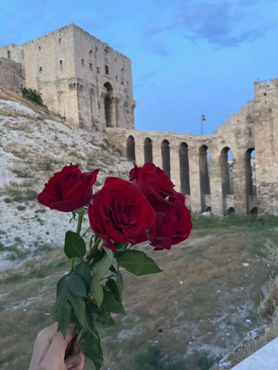 叙利亚,大马士革的玫瑰终将会重新盛开 叙利亚一个饱受战火摧残的地方