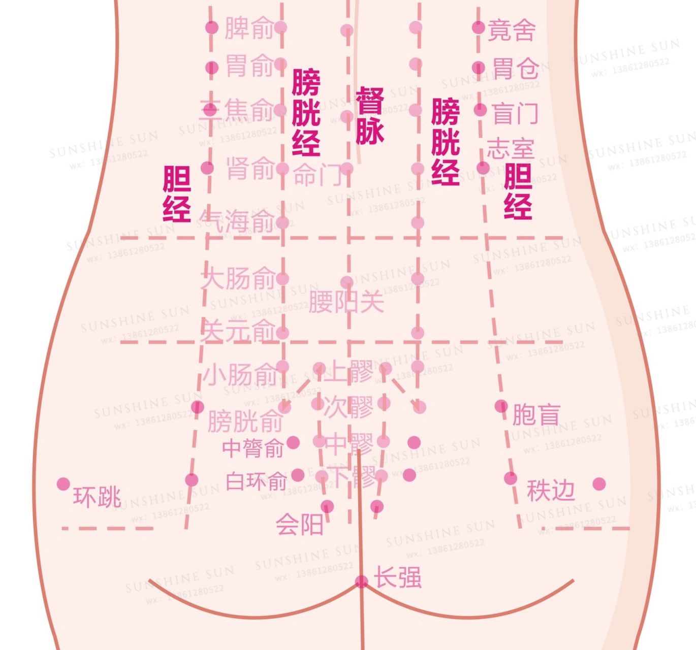 皮肤管理 肾部穴位 经络讲解图