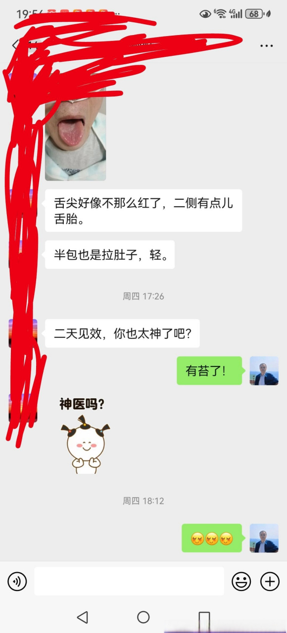 礞石滚痰丸治好了怪病图片