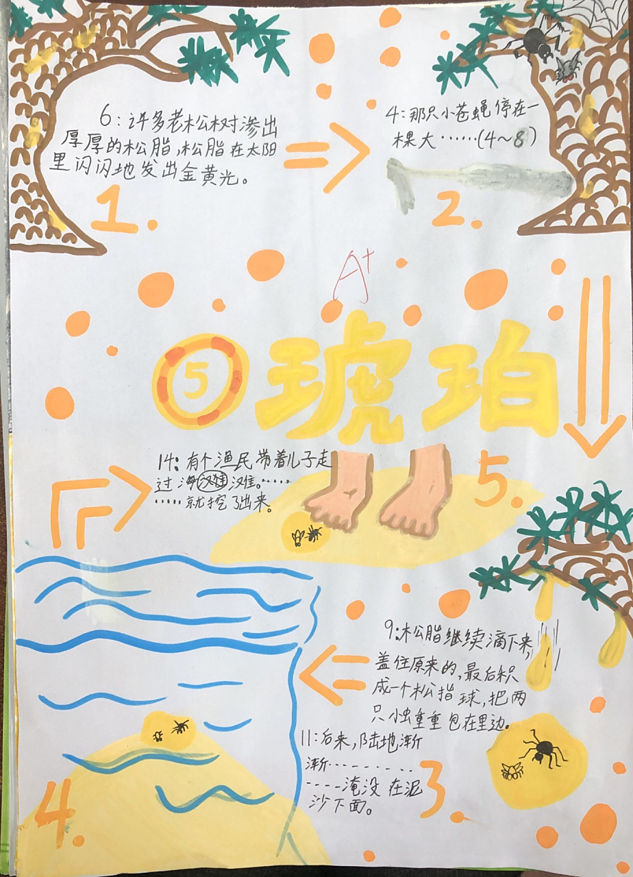 四年级下册《琥珀》形成过程图 琥珀形成的过程示意图