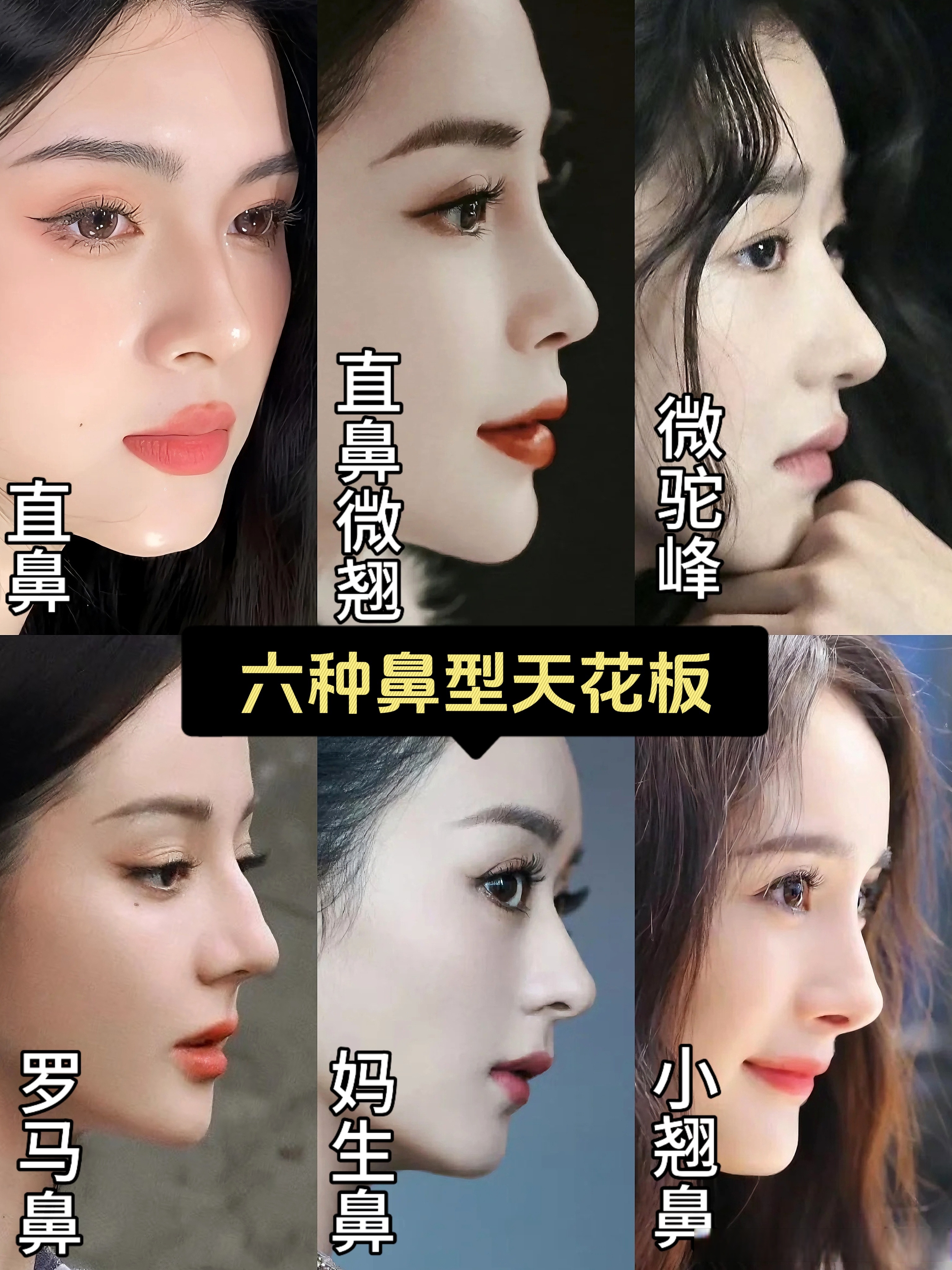 鼻子类型鼻子的类型直鼻微翘图片鼻孔形状鼻子各种形状图片鼻型分为哪