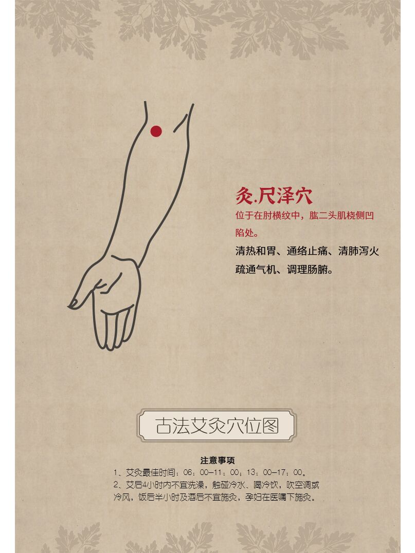 健康养生 认穴识灸